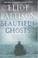 Cover of: Beautiful ghosts