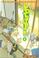 Cover of: Yotsuba&! Volume 4 (Yotsuba&)