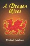 Cover of: A Dragon Rises