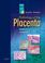 Cover of: Pathology of the Placenta (Major Problems in Pathology)