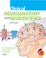 Cover of: Clinical Neuroanatomy and Neuroscience