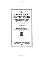Cover of: The magnificent adventure