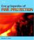 Cover of: Encyclopedia of Fire Protection