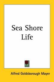 Cover of: Sea-shore life