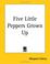Cover of: Five Little Peppers Grown Up