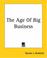 Cover of: The Age Of Big Business
