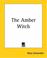 Cover of: The Amber Witch