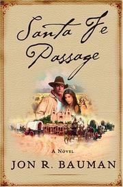 Santa Fe passage by Jon R. Bauman