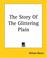 Cover of: The Story Of The Glittering Plain