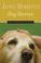 Cover of: James Herriot's Dog Stories