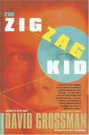 Cover of: The Zig Zag Kid