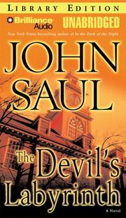 Cover of: Devil's Labyrinth, The: A Novel