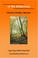 Cover of: In the Wilderness