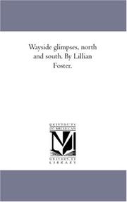 Cover of: Wayside glimpses, north and south