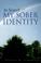 Cover of: In Search of My Sober Identity