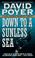 Cover of: Down to a Sunless Sea