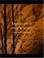 Cover of: Expositions of Holy Scripture (Large Print Edition)