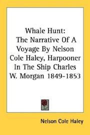 Whale Hunt by Nelson Cole Haley