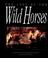 Cover of: The Last of the Wild Horses