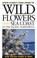 Cover of: Wild Flowers of the Sea Coast