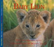 Cover of: Baby Lion (Nature Babies) by Aubrey Lang, Aubrey Lang