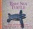 Cover of: Baby Sea Turtle (Nature Babies)