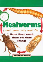 Cover of: Mealworms by Adrienne Mason
