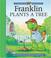 Cover of: Franklin Plants a Tree (A Franklin TV Storybook)
