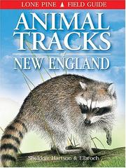 Cover of: Animal Tracks of New England (Lone Pine Field Guides)