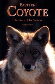 Cover of: Eastern coyote: the story of its success