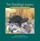 Cover of: The Hatchling's Journey