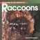 Cover of: Welcome to the World of Raccoons