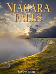 Niagara Falls by Darwin Wiggett