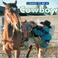 Cover of: I Want To Be A Cowboy (I Want to Be)