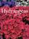 Cover of: Hydrangeas