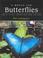 Cover of: A World for Butterflies