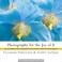Cover of: Photography for the Joy of It