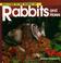 Cover of: Welcome to the World of Rabbits and Hares