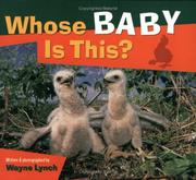 Cover of: Whose Baby is This?
