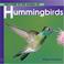 Cover of: Welcome to the World of Hummingbirds (Welcome to the World Series)