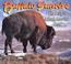 Cover of: Buffalo Sunrise