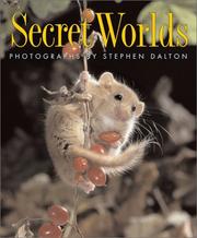 Secret worlds by Stephen Dalton