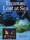 Cover of: Treasure lost at sea