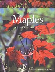 Maples by Rosemary Barrett