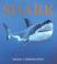 Cover of: Shark