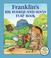 Cover of: Franklin's Big Search-and-solve Flap Book