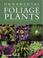 Cover of: Ornamental foliage plants