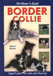 Cover of: Border Collie (Dog Owner's Guide)