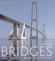 Cover of: Bridges by David J. Brown
