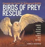 Cover of: Birds of Prey Rescue: Changing the Future for Endangered Wildlife (Firefly Animal Rescue)